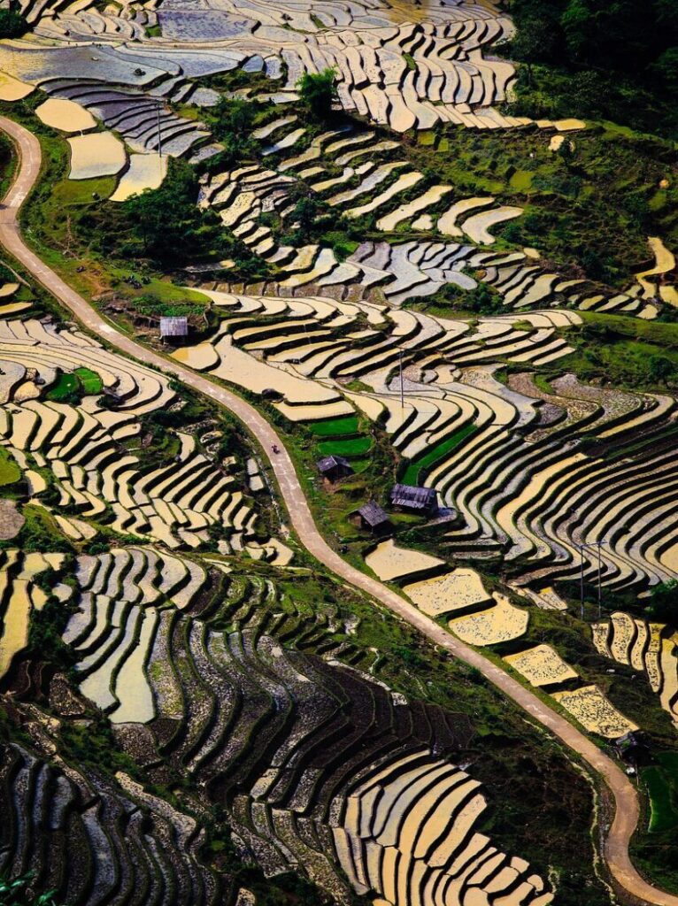 mountains, terraced fields, vietnam