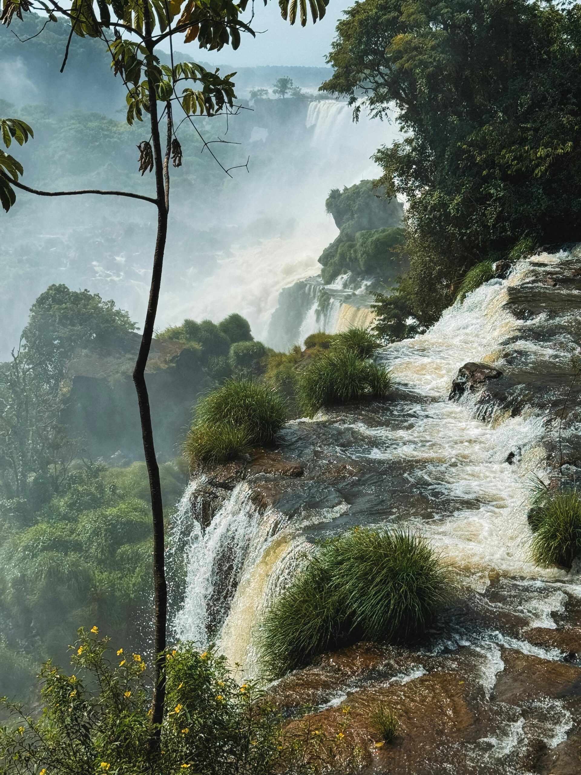 Waterfall with Cascades in Deep Forest