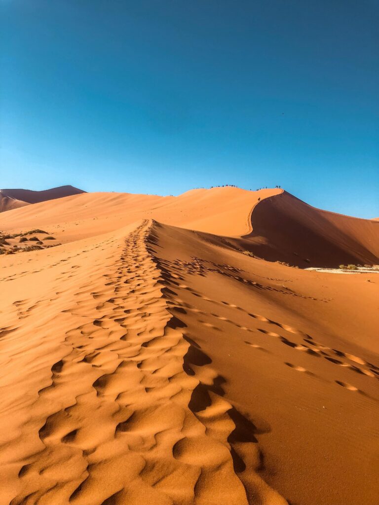 Explore the captivating beauty of Namibia's Namib Desert sand dunes under a clear blue sky.